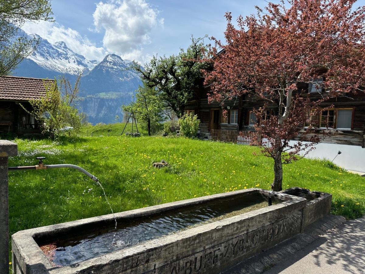 Chalet Bruenig Meiringen Exterior photo