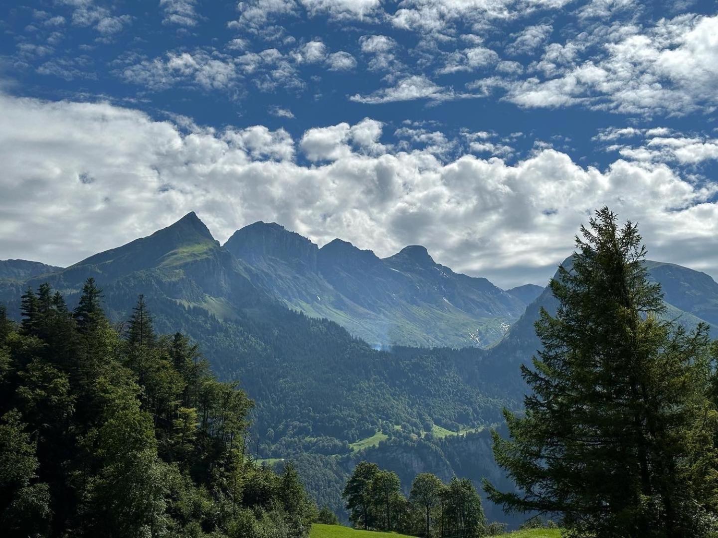 Chalet Bruenig Meiringen Exterior photo