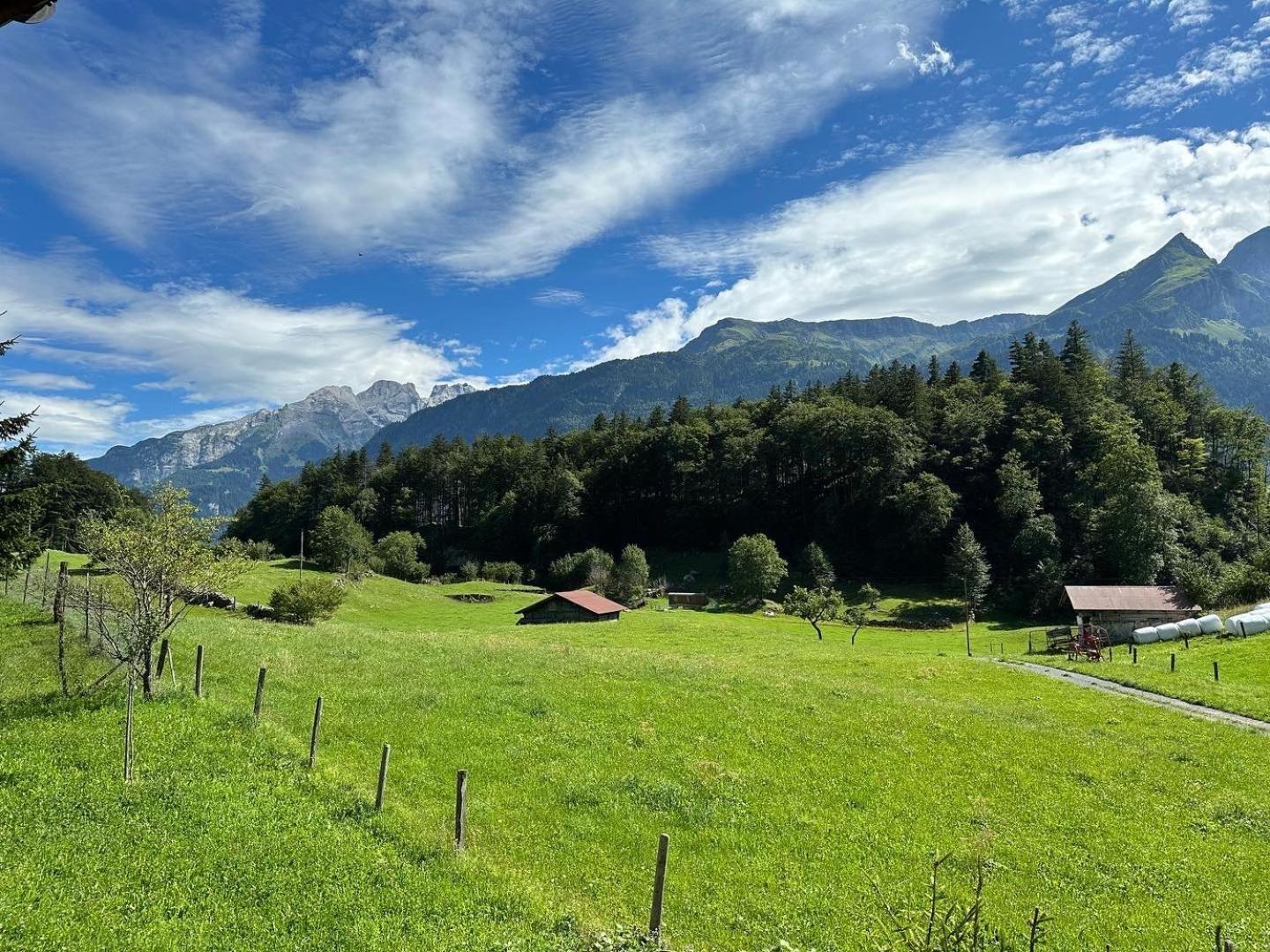 Chalet Bruenig Meiringen Exterior photo